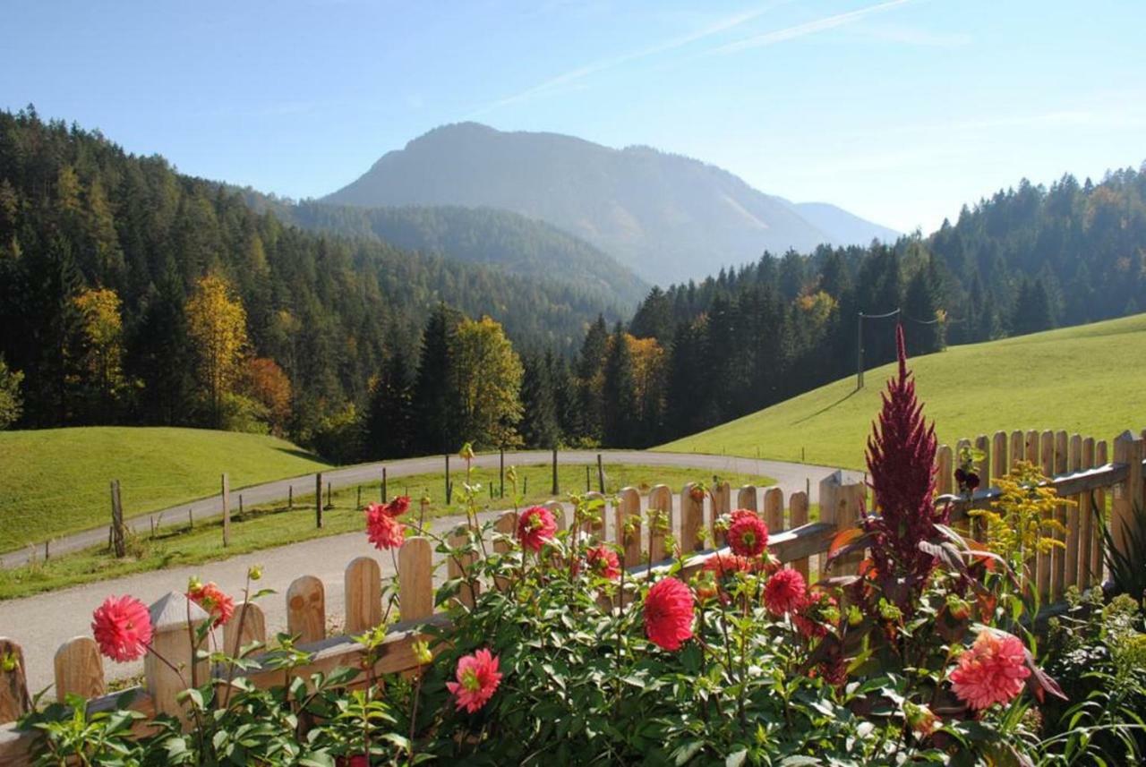 Familienbauernhof Glockriegl Villa Lunz am See Exterior photo